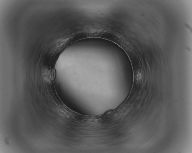 X0000091571204200708271150