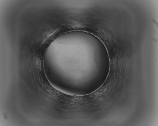 X0000091571205200708271150