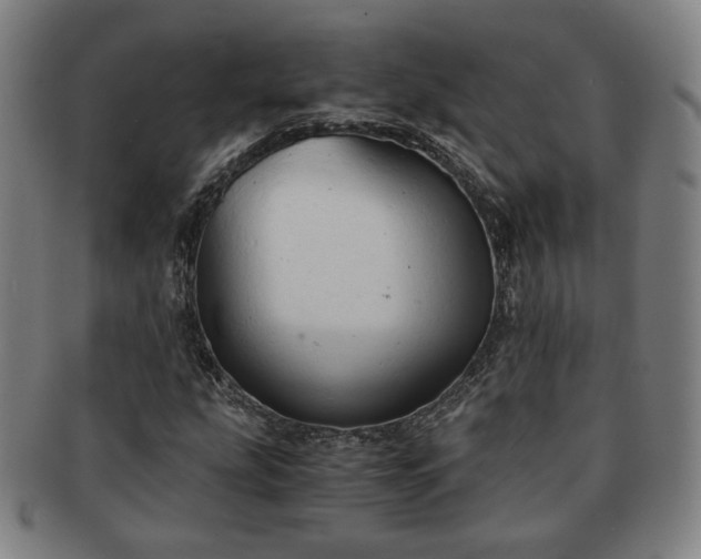 X0000091571207200708271150
