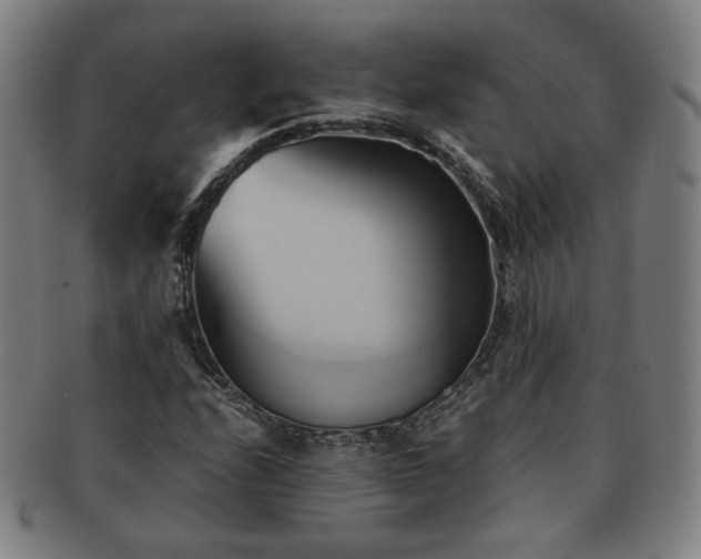 X0000091571208200708271150