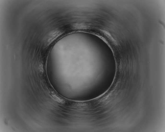 X0000091571209200708271150