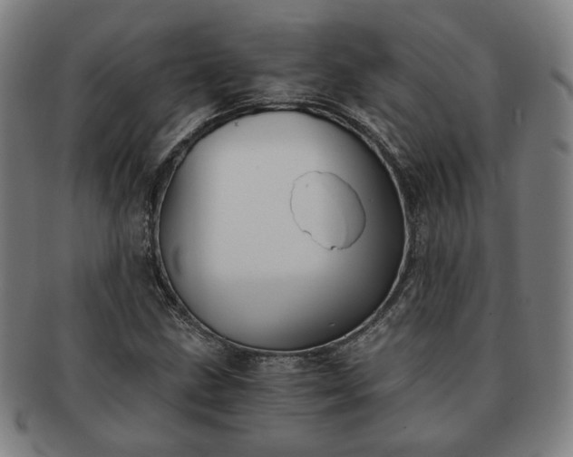 X0000091571211200708271150