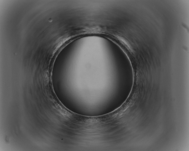X0000091571212200708271150