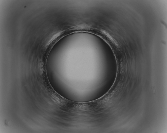 X0000091571213200708271150