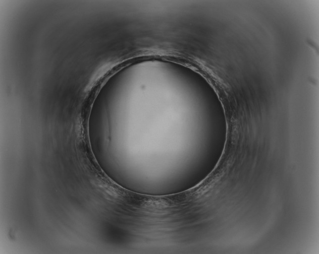 X0000091571215200708271150