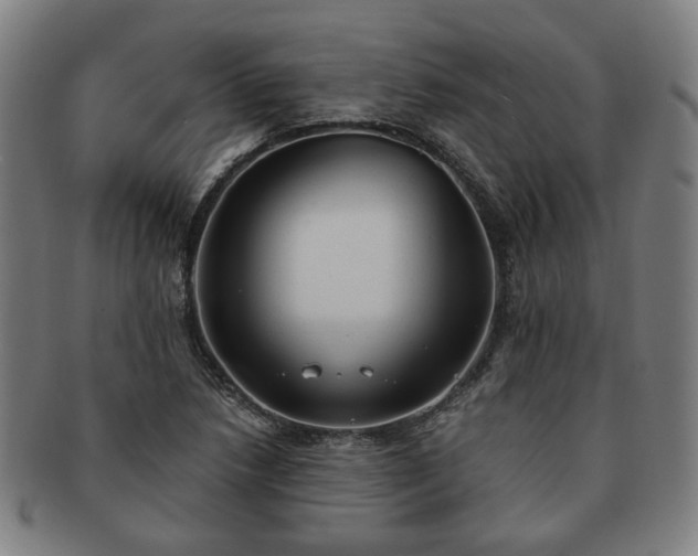 X0000091571218200708271150