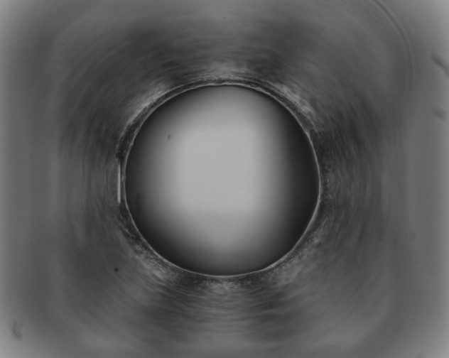X0000091571219200708271150