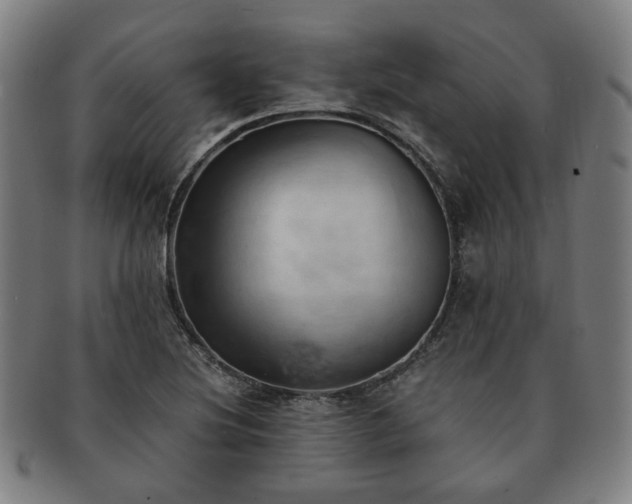 X0000091571220200708271150