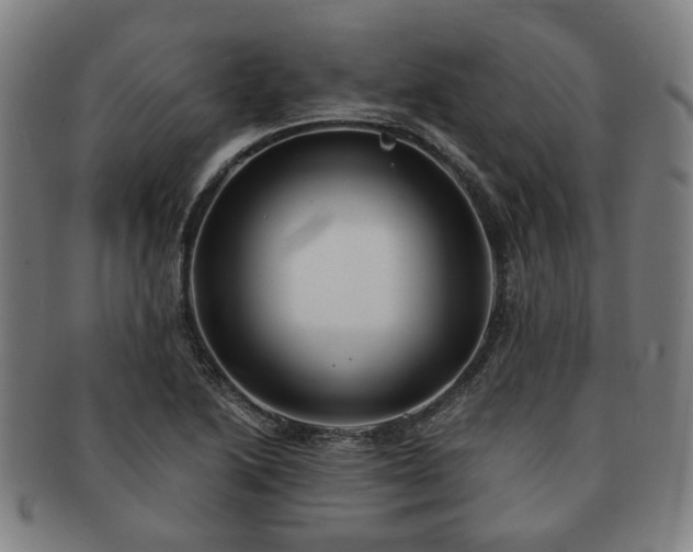 X0000091571222200708271150