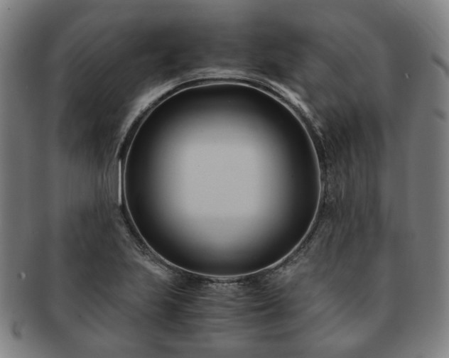 X0000091571223200708271150