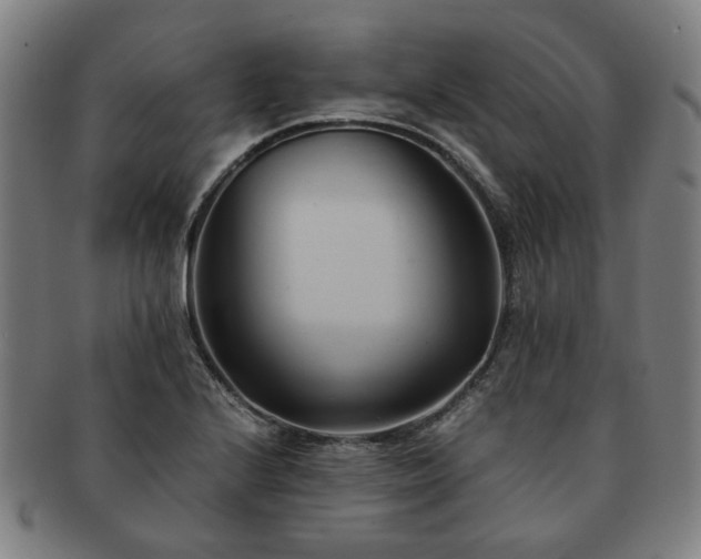 X0000091571224200708271150