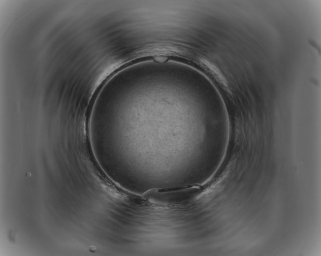 X0000091571226200708271151