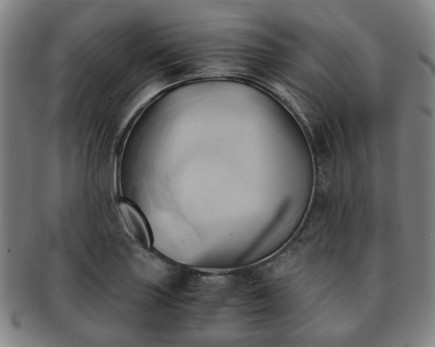 X0000091571227200708271151