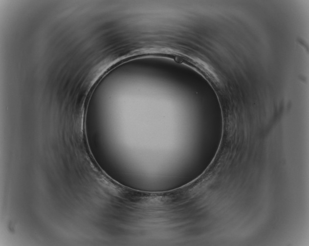 X0000091571228200708271151