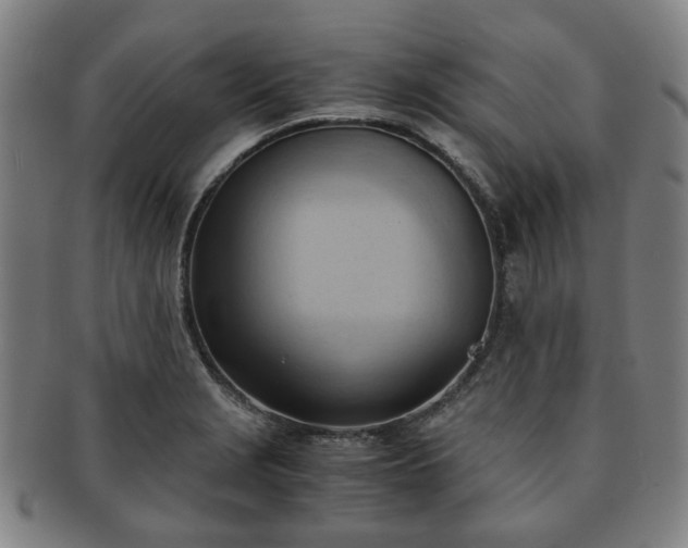 X0000091571229200708271151