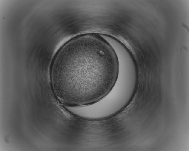 X0000091571230200708271151