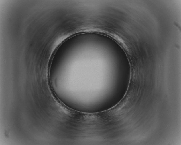 X0000091571231200708271151