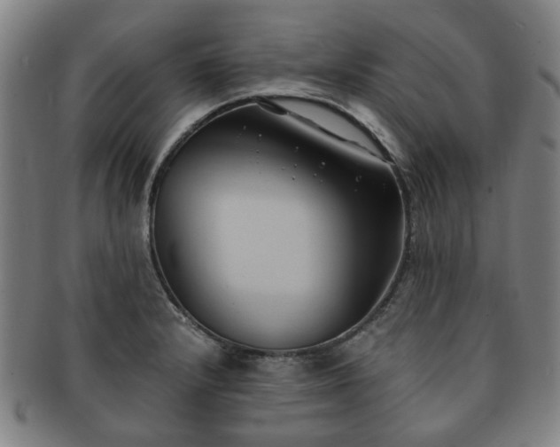 X0000091571232200708271151