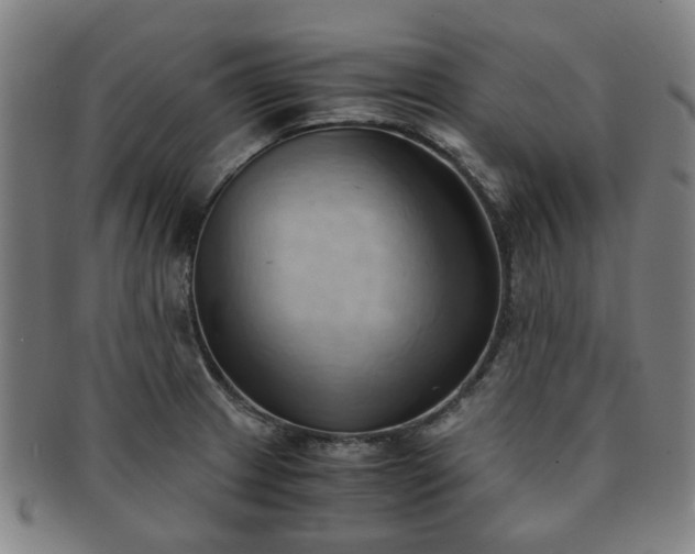 X0000091571233200708271151