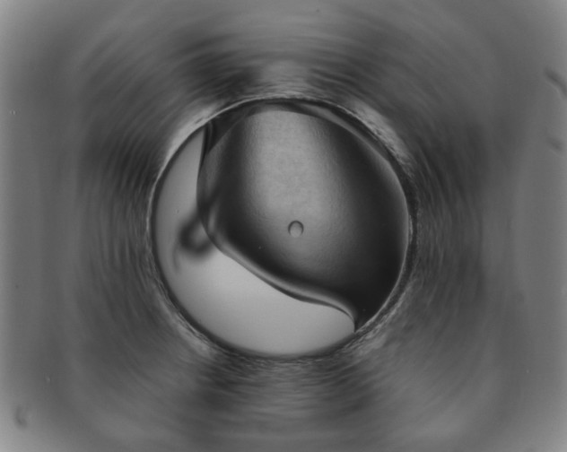 X0000091571234200708271151