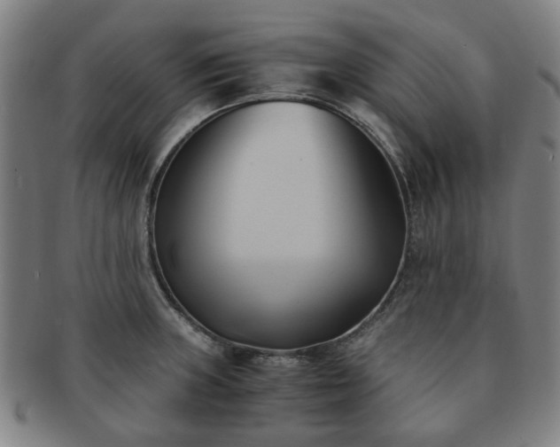 X0000091571235200708271151
