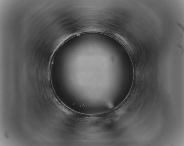 X0000091571236200708271151