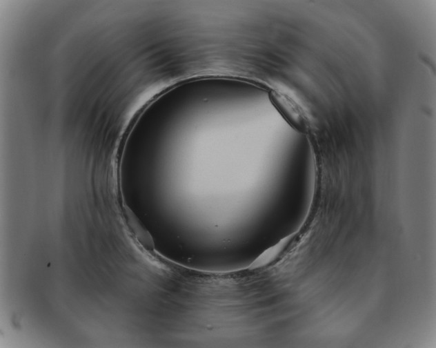 X0000091571238200708271151