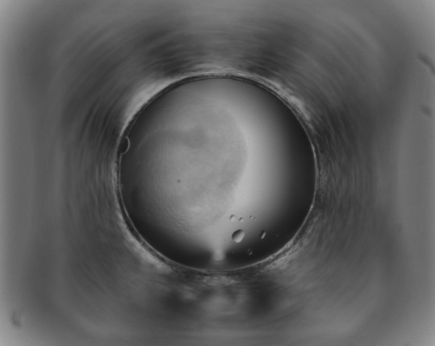 X0000091571239200708271151