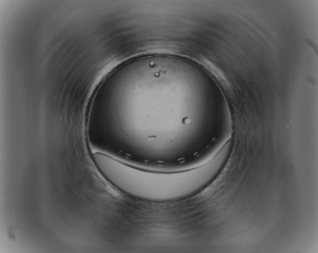 X0000091571240200708271151