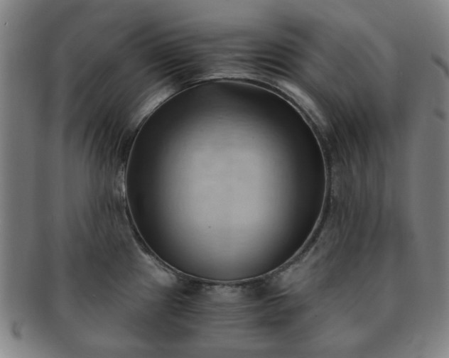 X0000091571241200708271151