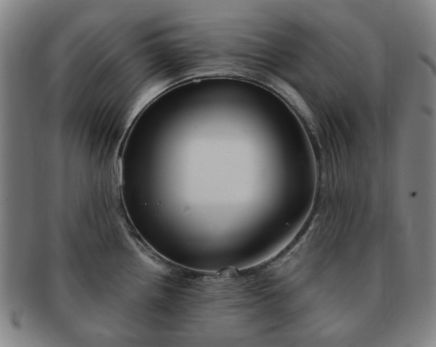 X0000091571242200708271151
