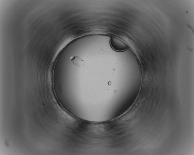 X0000091571243200708271151