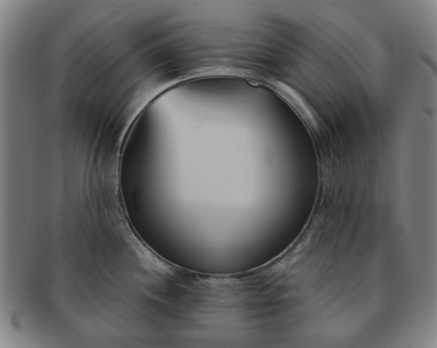 X0000091571244200708271151