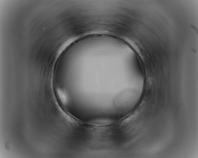 X0000091571245200708271151