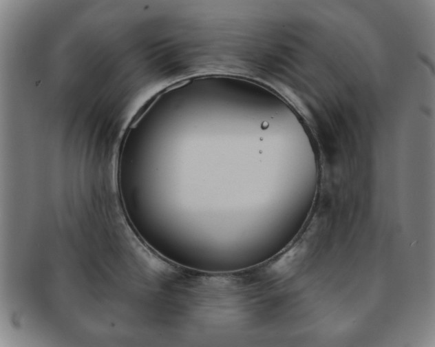 X0000091571246200708271151