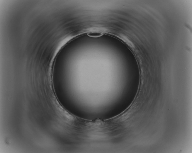 X0000091571248200708271151