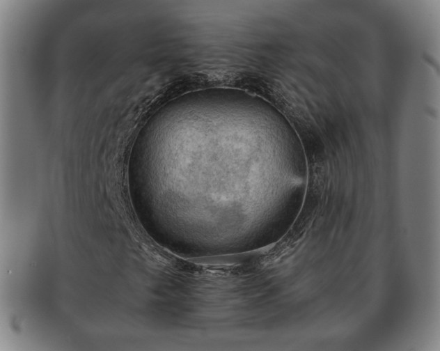 X0000091571249200708271150