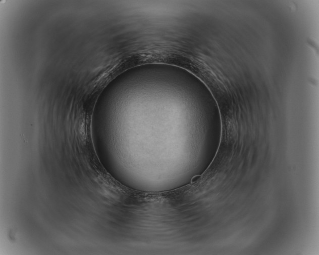 X0000091571250200708271150
