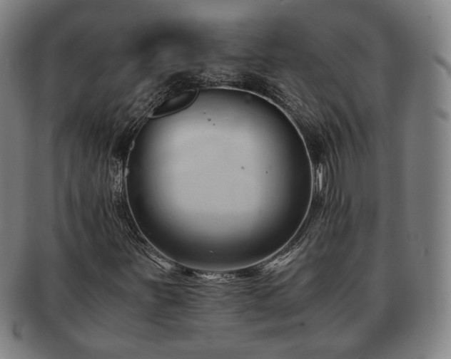 X0000091571251200708271150