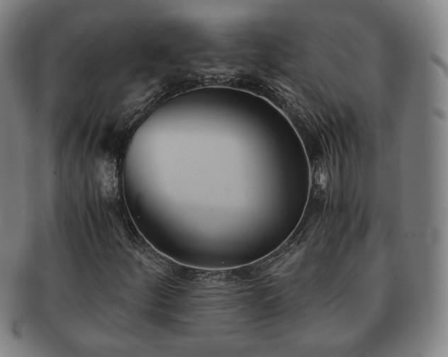 X0000091571252200708271150