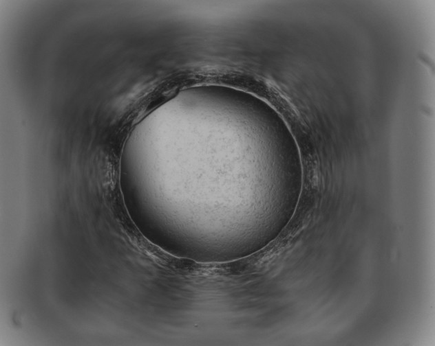 X0000091571253200708271150