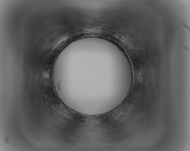 X0000091571254200708271150