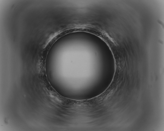 X0000091571256200708271150