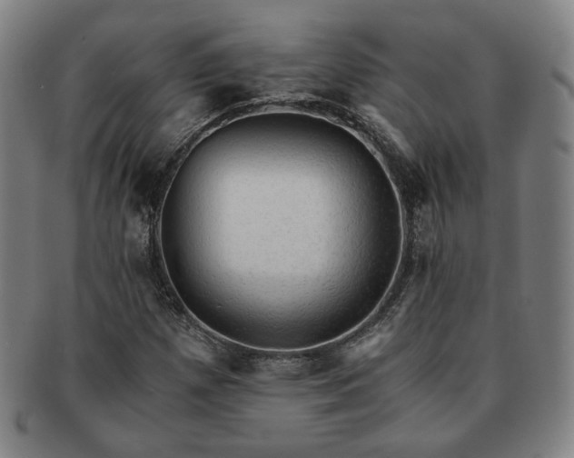 X0000091571257200708271150