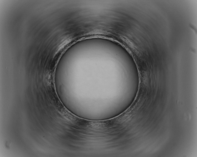 X0000091571258200708271150