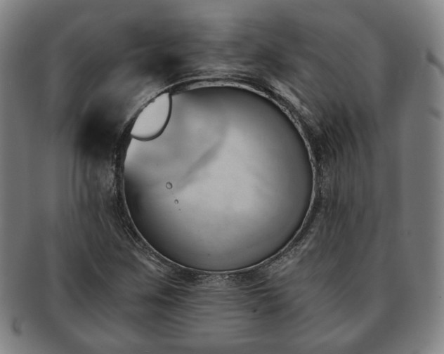 X0000091571259200708271150