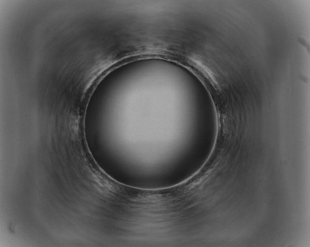 X0000091571260200708271150