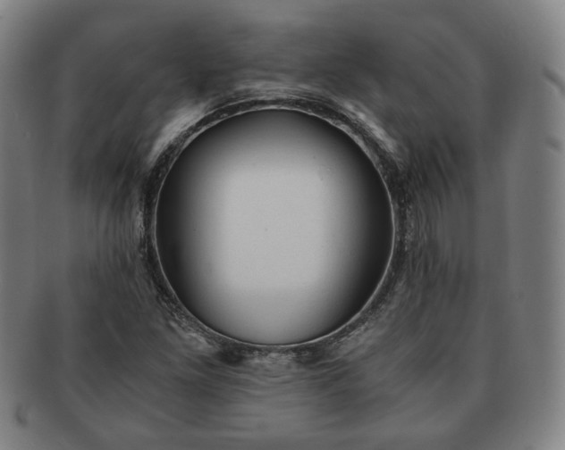 X0000091571261200708271150
