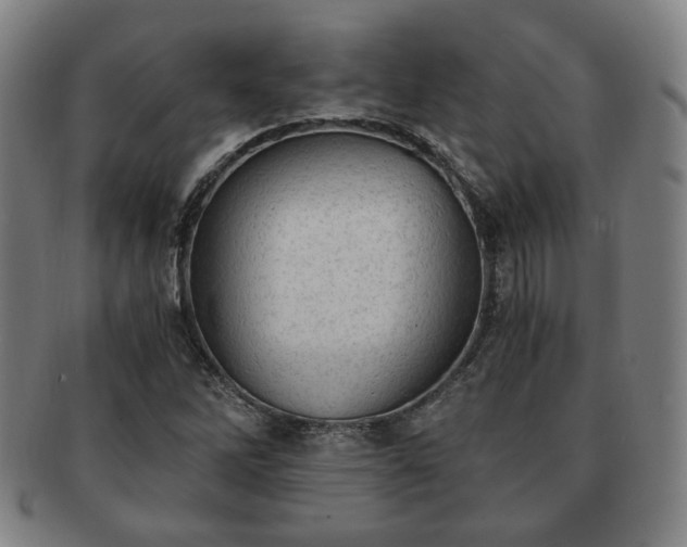 X0000091571262200708271150