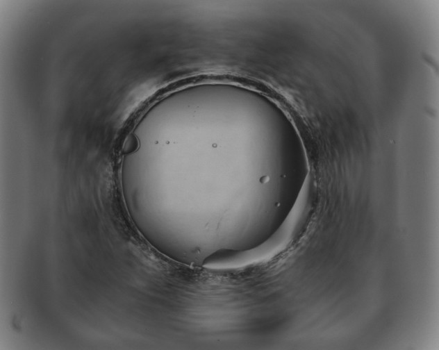 X0000091571263200708271150